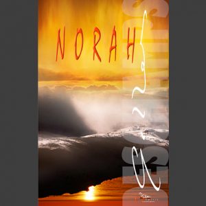 Norah une roman de Gilles Deschamps