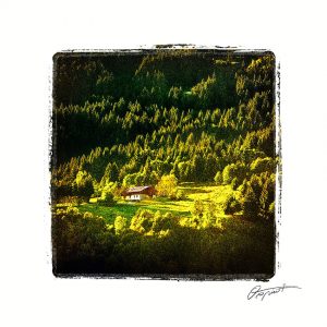 Forêt de Haute Savoie en France