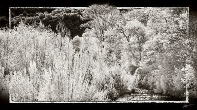 Photo infrarouge Noir et blanc de la Berre à Ripaud dans l'Aude