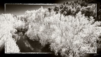 Photo infrarouge Noir et blanc de la Nielle à Fabrezan dans l'Aude