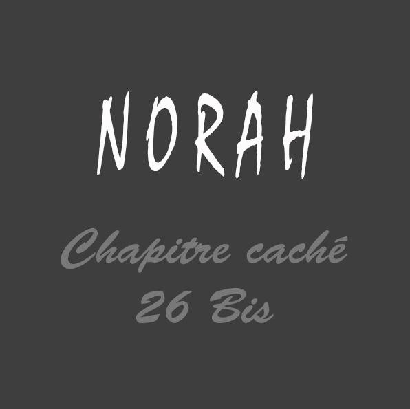 Roman Norah Chapitre Caché 26 bis